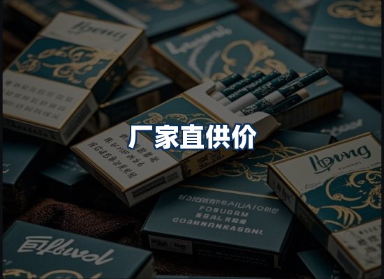 专业团队办公环境